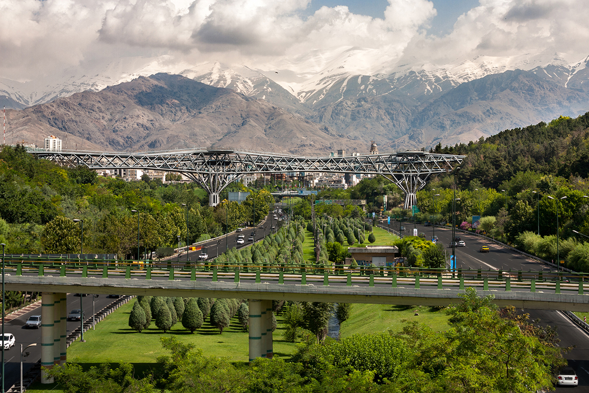 کاشت و نگهداری گیاهان فضای شهر