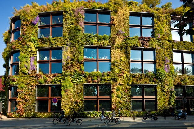 نمای پوشیده شده از گیاهان لاکچری/دیوار سبز پاتریک بلانک